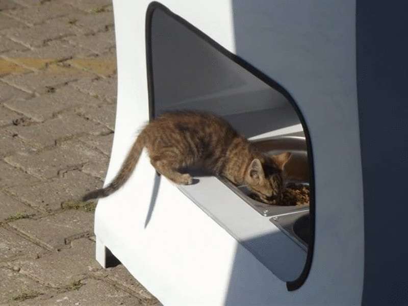 I distributori automatici nelle strade di Istanbul danno da mangiare agli animali senza casa