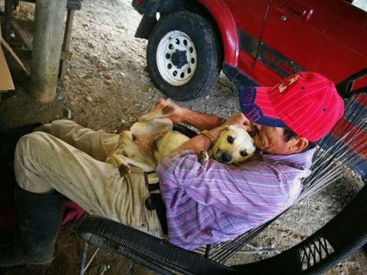 La gente pensava che ci fosse un ubriacone sdraiato sulla strada e passava. Solo il cane ha cercato di salvare il proprietario!