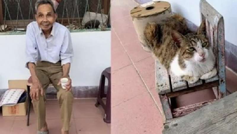 Il nonno di 97 anni è uscito di nascosto di casa, ma il suo gatto non ha lasciato il proprietario
