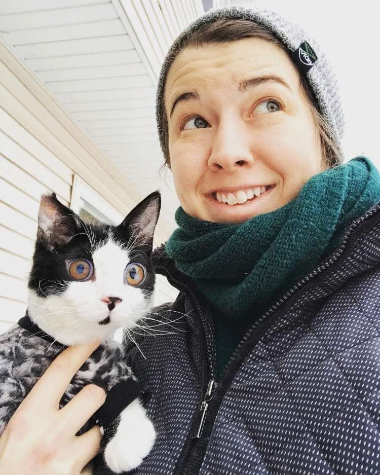 Qualcuno ha buttato via un gattino con gli occhi “vitrei”. Ma l’amore di un nuovo proprietario ha creato un vero e proprio miracolo