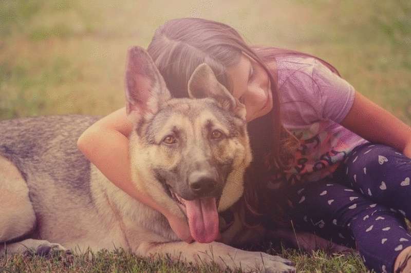 Storia della vita del cane da pastore di 4 anni di Lyosha