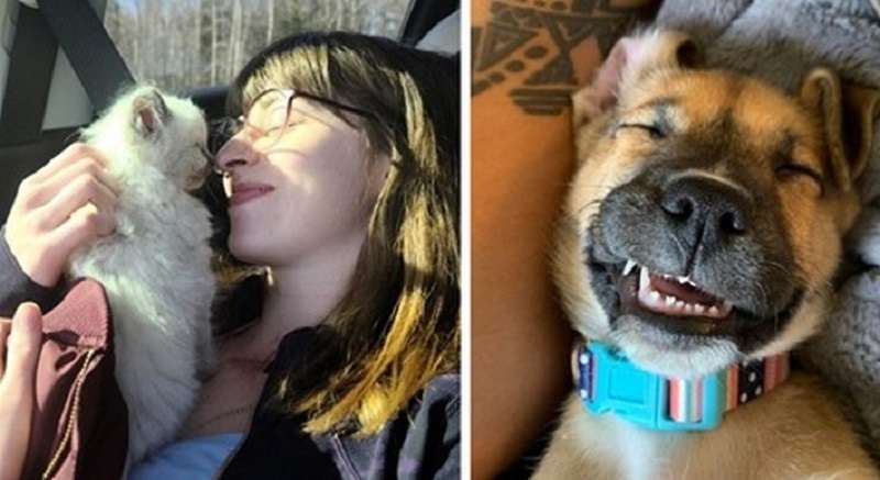 15 casi di persone che sottraggono animali ai rifugi e la felicità non poteva essere nascosta da nessuno dei due