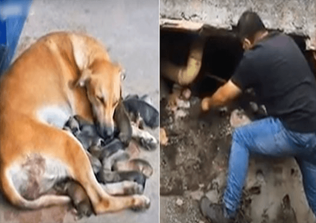 La mamma si è nascosta sotto un edificio crollato dopo il parto e l’uomo che l’ha picchiata l’ha seguita