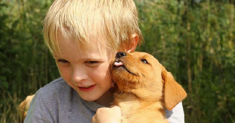 5 motivi per prendere un cane se avete un bambino
