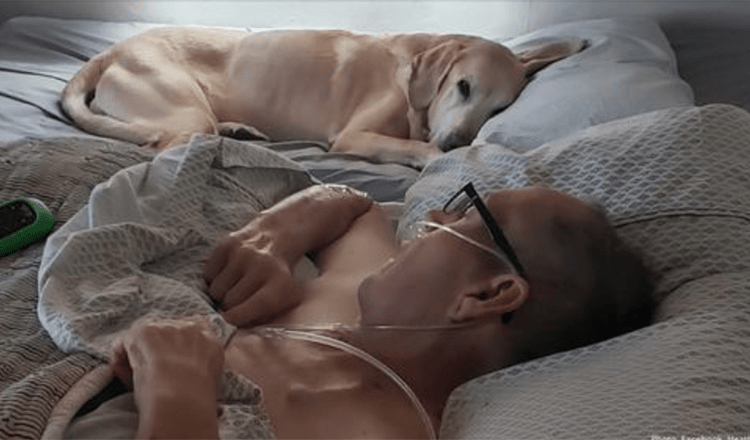Un veterano e il suo fedele cane muoiono a poche ore l’uno dall’altro