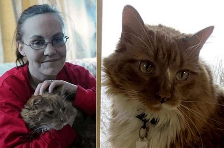 15 gatti eroici che hanno salvato la vita ai loro padroni