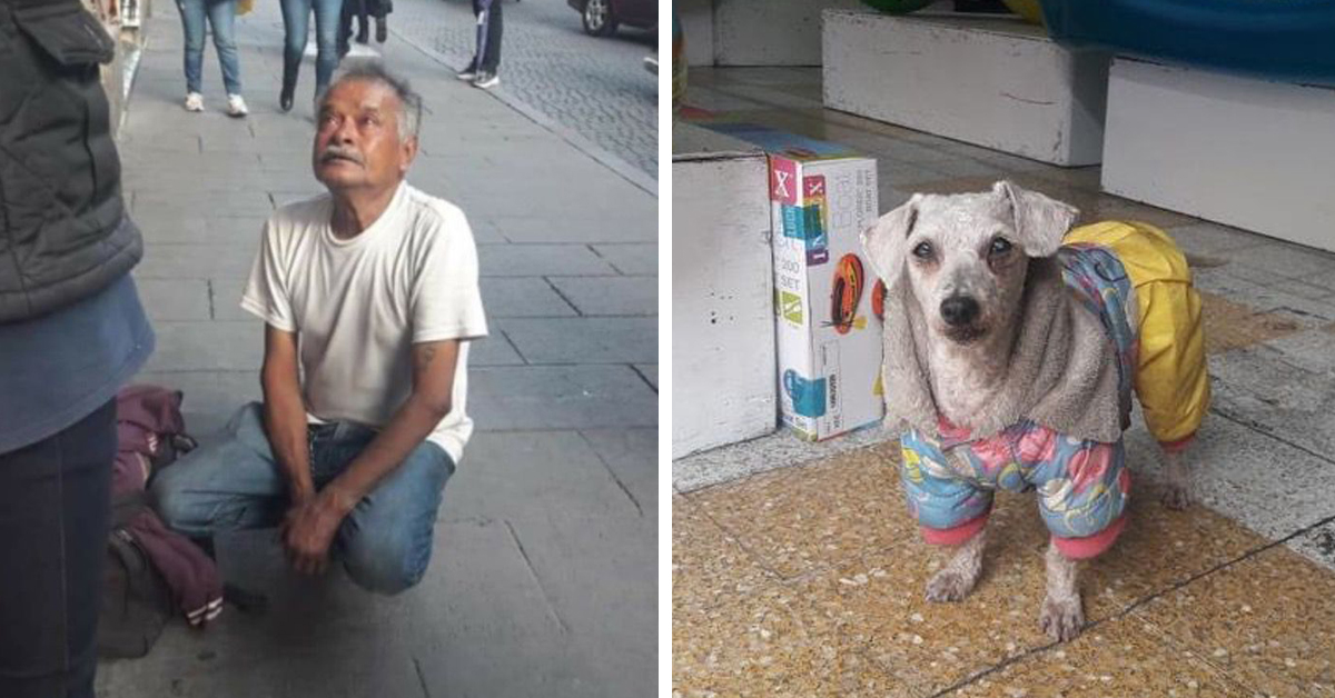 Un senzatetto che vende gomme da masticare per sfamare il suo cane piange quando il suo cucciolo viene rubato