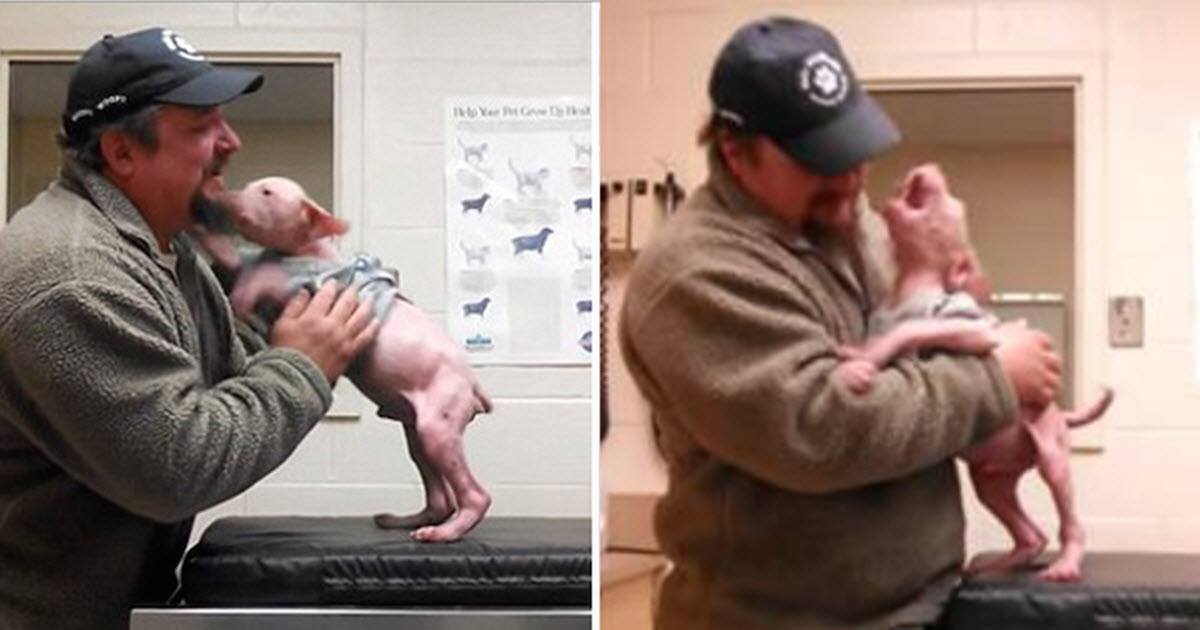 Un uomo torna ad adottare il cane che ha salvato e il cucciolo non potrebbe essere più felice
