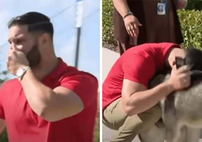 Un uomo si imbatte nei suoi Husky scomparsi nel bel mezzo di un servizio fotografico di adozione