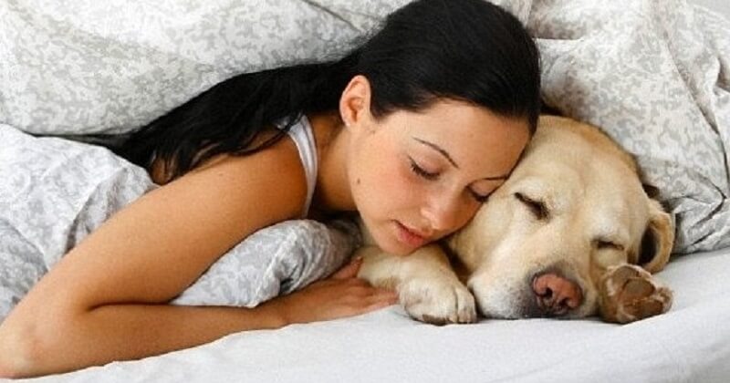 7 motivi inaspettati per cui il vostro cane dovrebbe dormire nel vostro letto