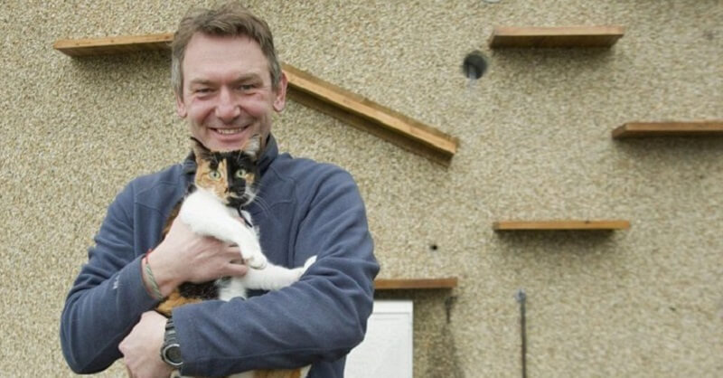 Il proprietario ha creato un ingresso esclusivo in casa per il gatto