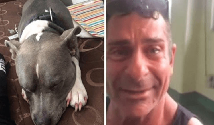 Un uomo si ricongiunge con il suo cane rubato solo due giorni prima della sua soppressione
