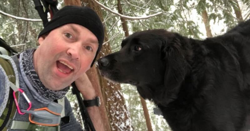 Un cane misterioso insegue una coppia nel bosco: il mistero si risolve quando i due vedono l’iscrizione sul suo distintivo