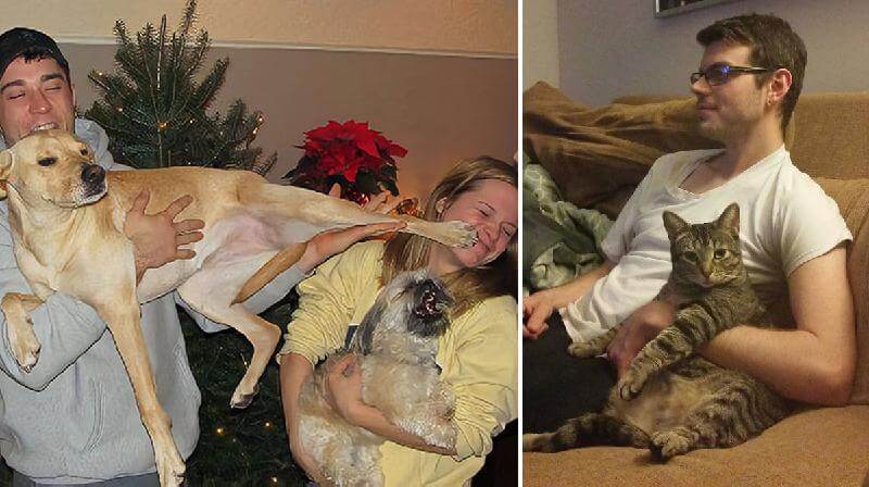 Gli animali domestici sfacciati rubano i partner ai loro padroni e non si vergognano nemmeno! 20 immagini fresche.