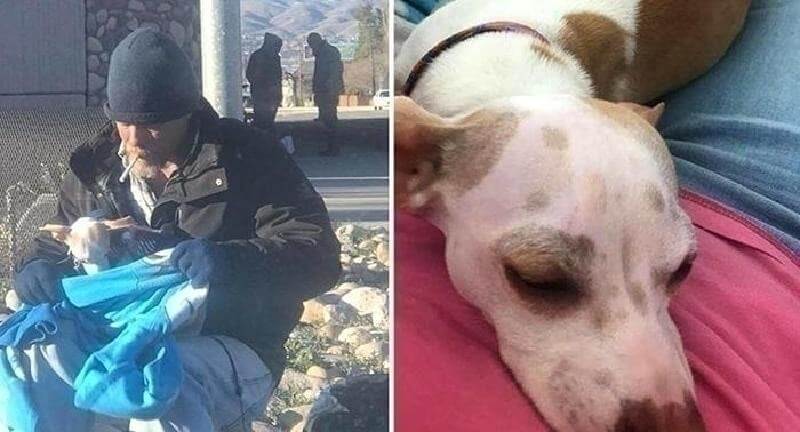 Un senzatetto ha salvato un cane dalla morte e questo ha cambiato la sua vita