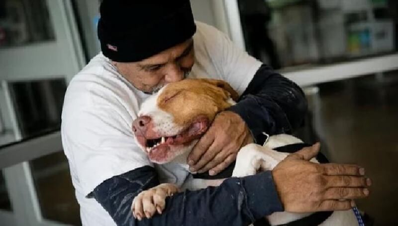 L’uomo ha dovuto consegnare il suo cane a un rifugio. Ha promesso di tornare. Ma nessuno gli credeva. All’improvviso accadde..