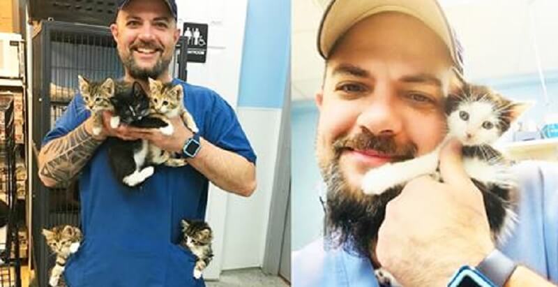 Ogni mattina trova una cesta di gattini e fa veri e propri miracoli… Un veterinario di Dio!
