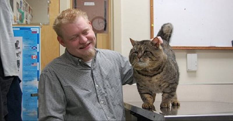 Gatto sorpreso a rubare cibo per cani dal garage