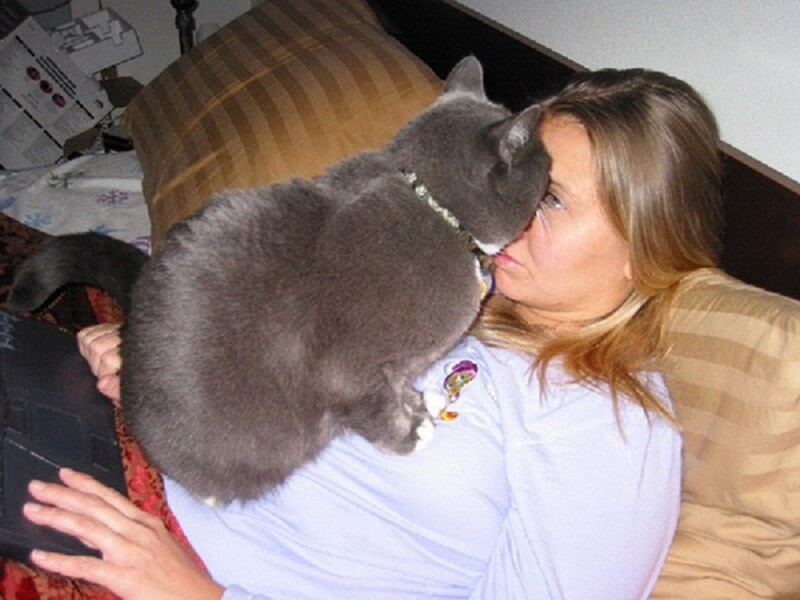 15 foto di gatti il cui comportamento richiede attenzione