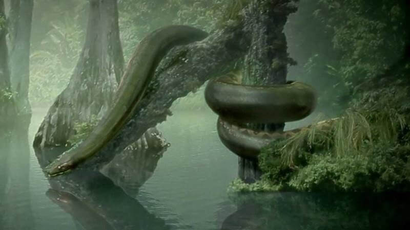 15 animali tra i più giganteschi che abbiano mai abitato il nostro pianeta